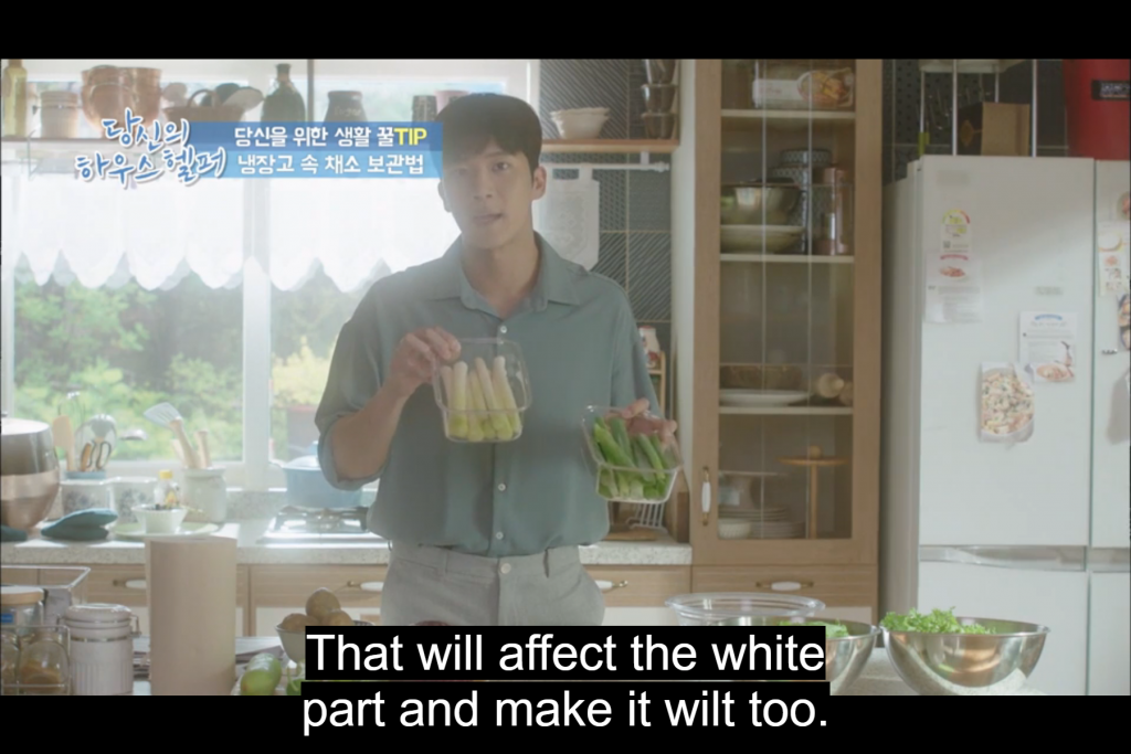 Your House Helper Ha Seok Jin